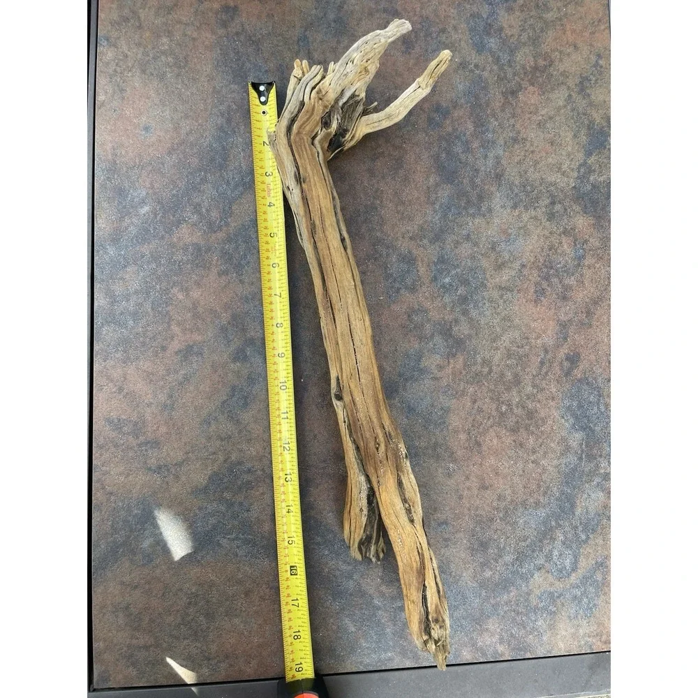 Natural Driftwood for Plants Terrarium Taxidermy Art Projects